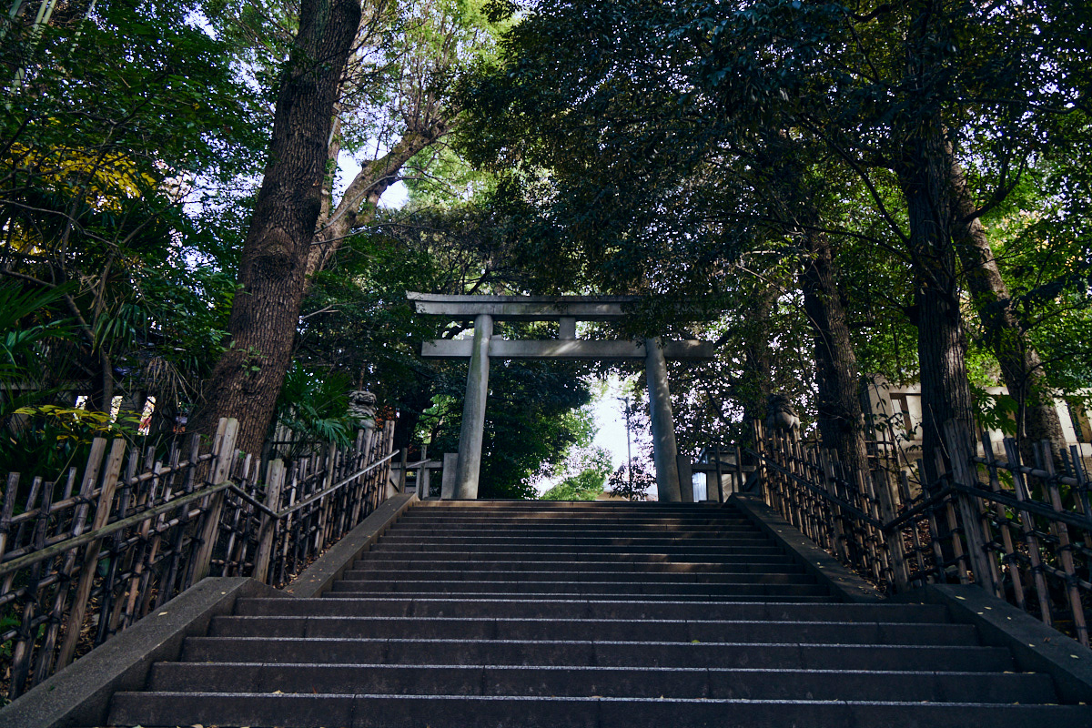 渋谷氷川神社